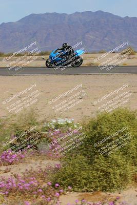 media/Mar-12-2023-SoCal Trackdays (Sun) [[d4c8249724]]/Turn 15 Inside Bloom (130pm)/